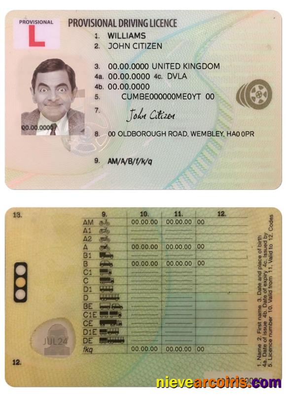 United Kingdom provisional driving license